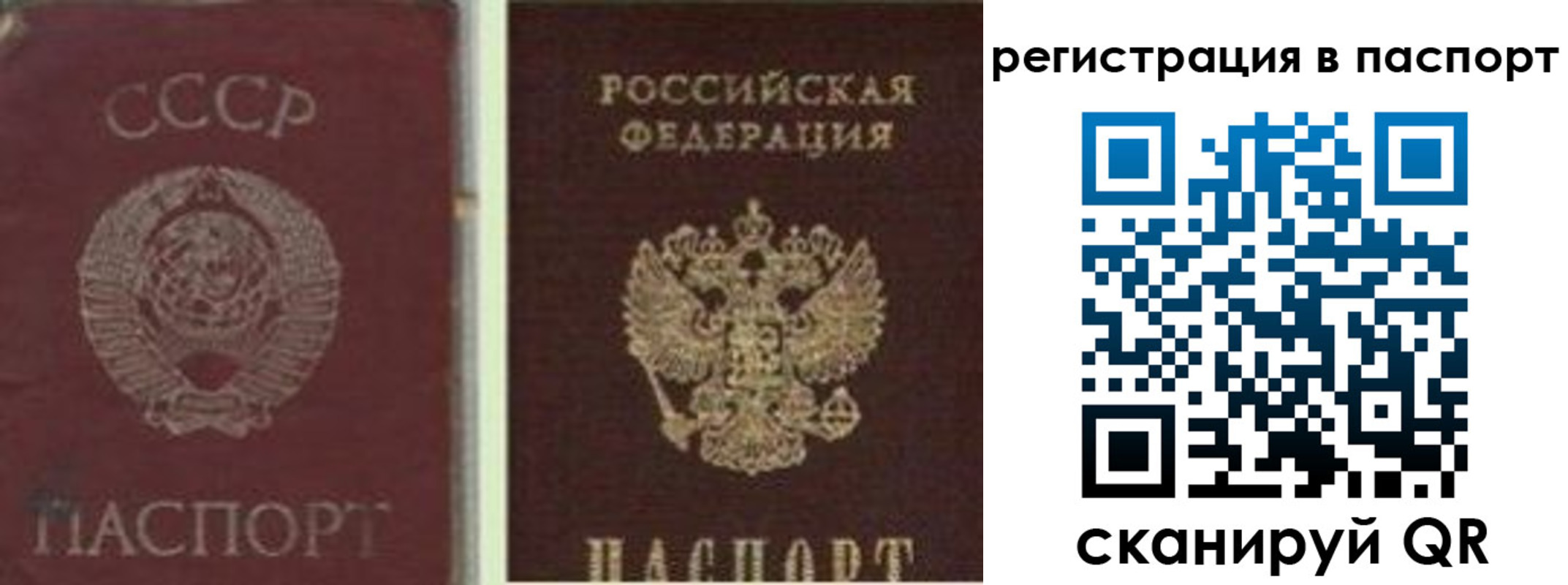 прописка для работы в Хабаровском крае